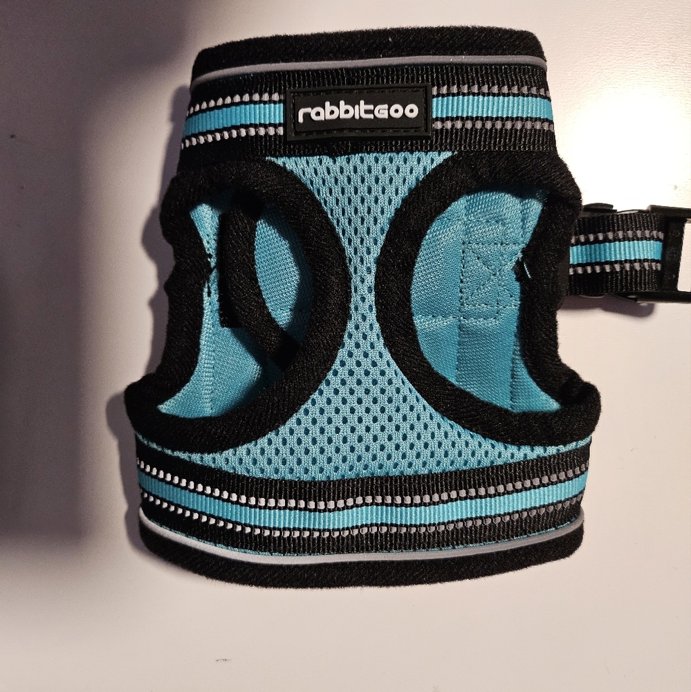 Small animal harness in teal with leash